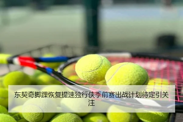 东契奇脚踝恢复提速独行侠季前赛出战计划待定引关注